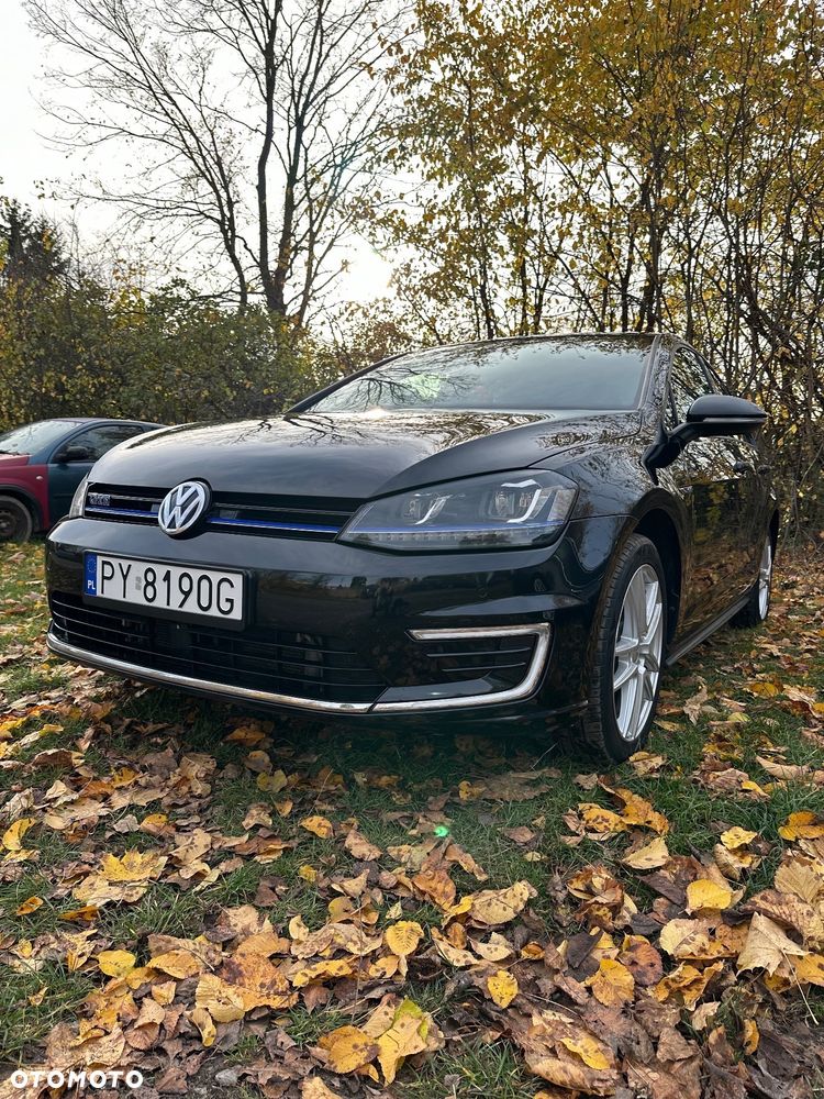 Volkswagen Golf - 18