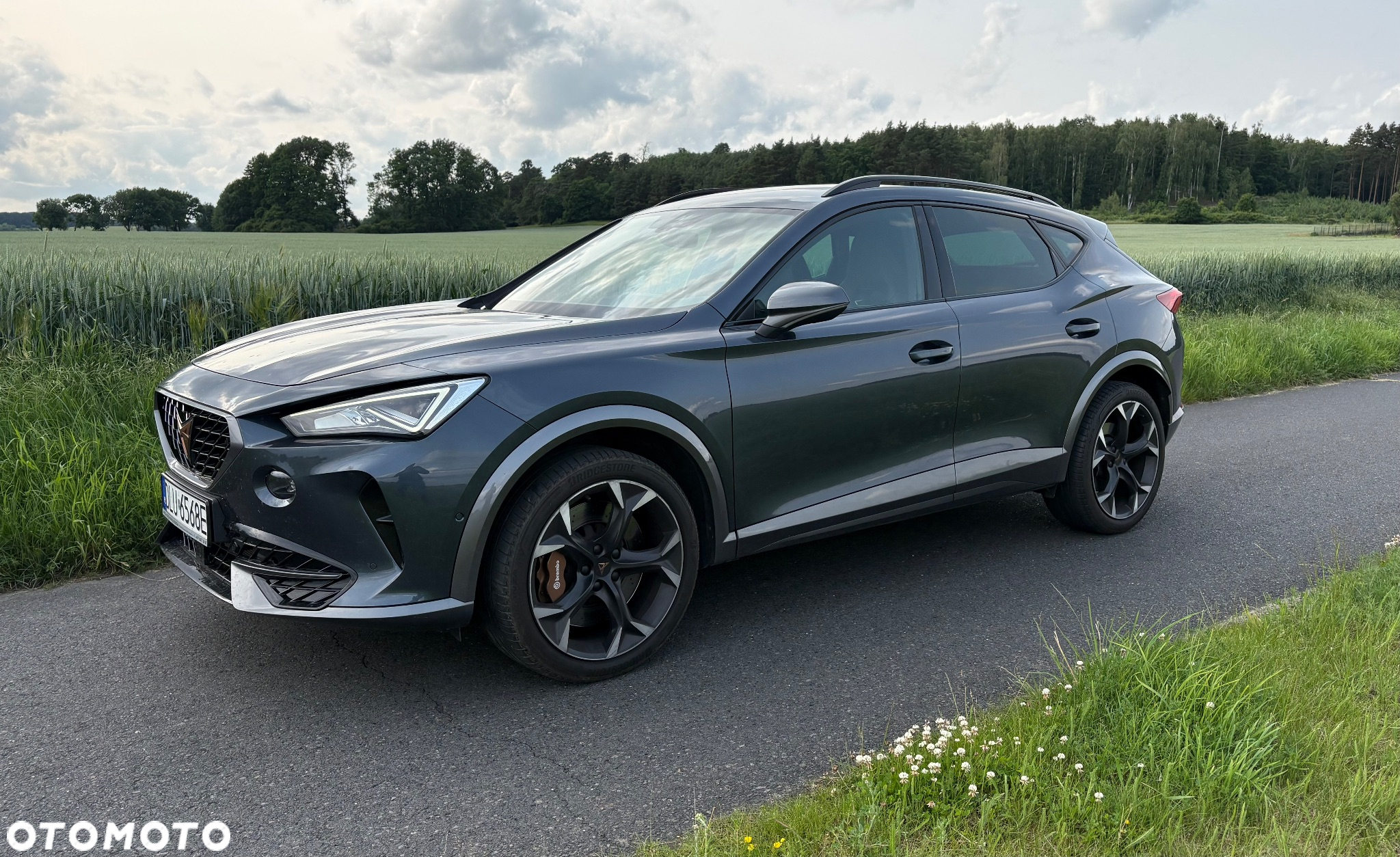 Cupra Formentor VZ 2.0 TSI 4Drive DSG - 6
