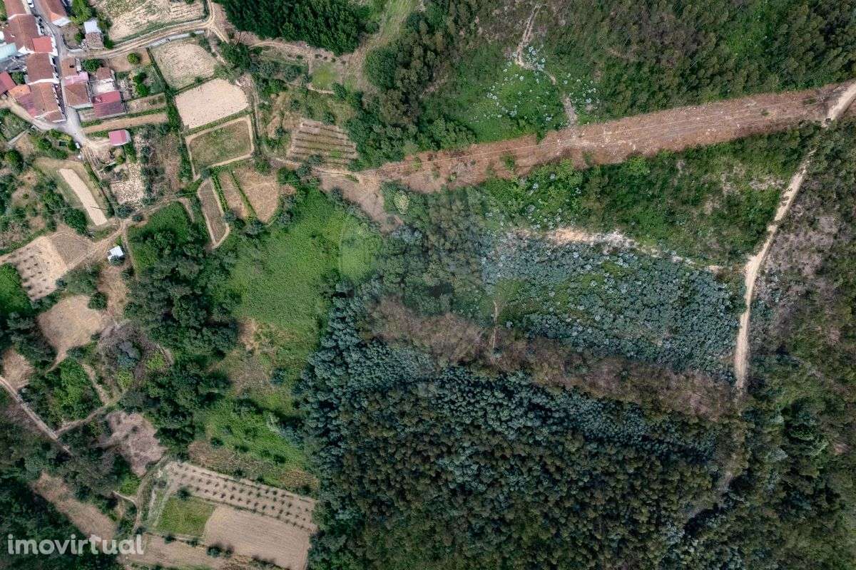 Terreno  para venda - Grande imagem: 3/4