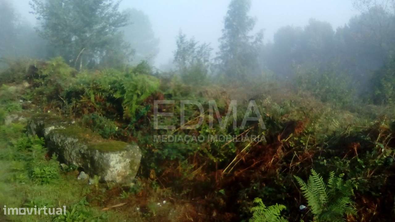 Terreno - Grande imagem: 5/6