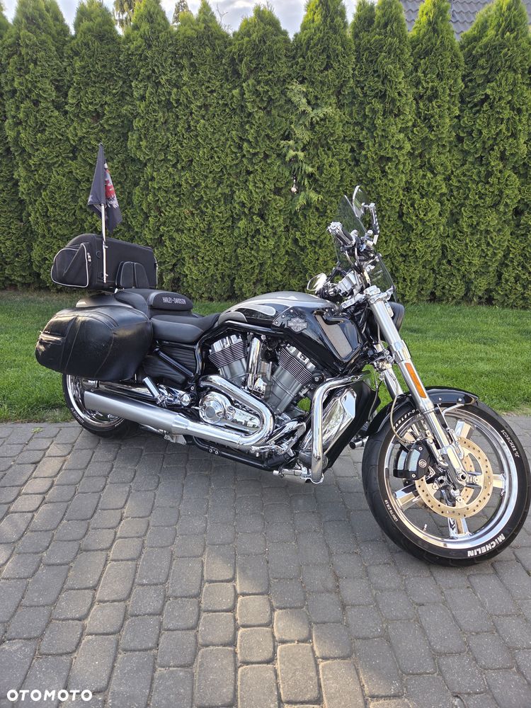 Harley-Davidson V-Rod Muscle - 1