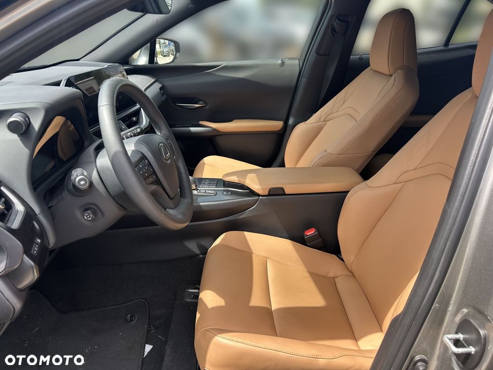 Lexus UX 300h F Sport Design - 16