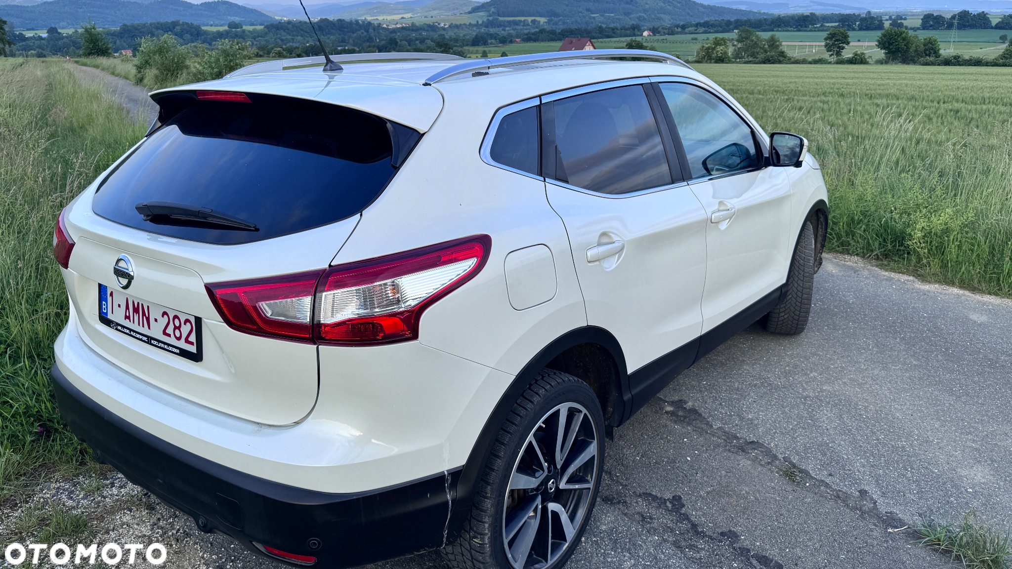 Nissan Qashqai 1.6 dCi 4x4 360 S&S - 19