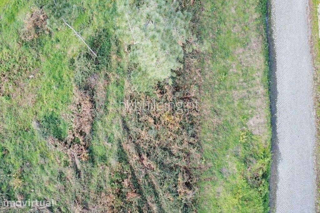 Terreno para construção em Roriz - Grande imagem: 2/8