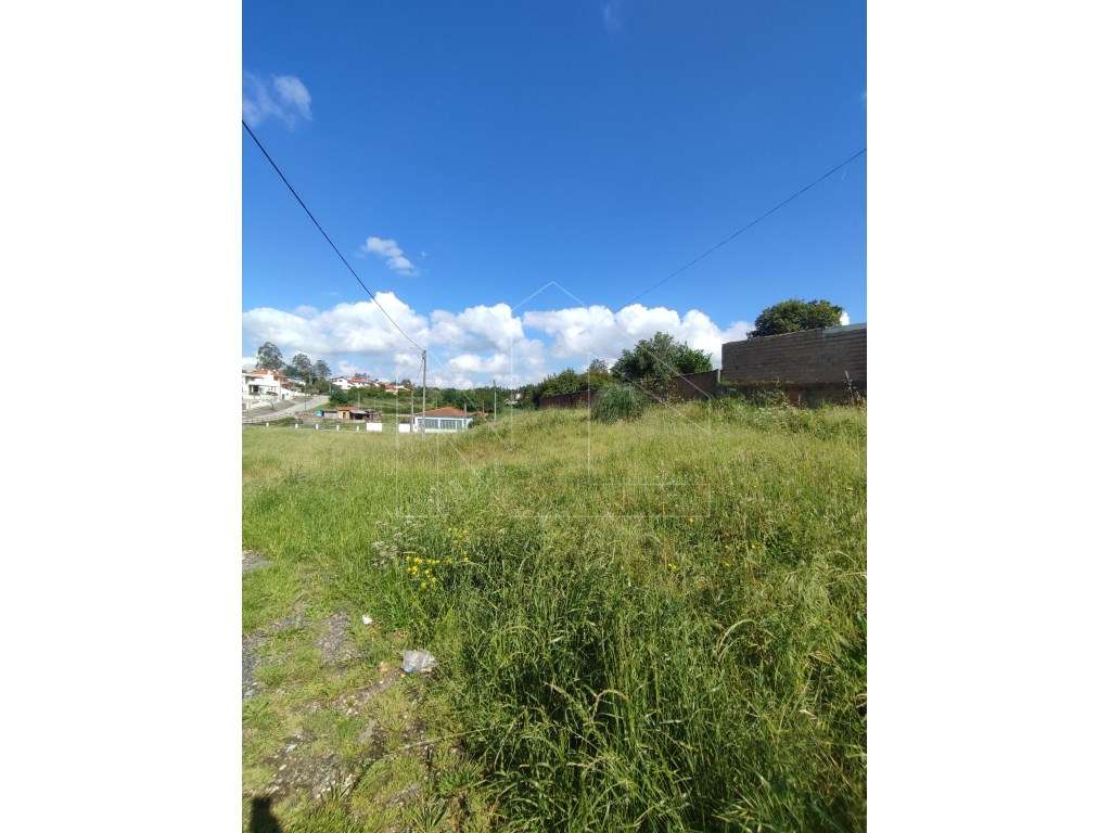 Terreno Urbano com 2.065 m² em Assilhó - Albergaria-a-Velha - Grande imagem: 2/4