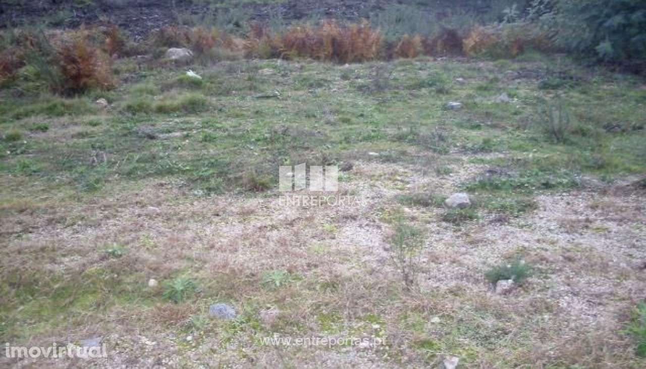 Venda Lote, Grilo, Baião - Grande imagem: 2/24