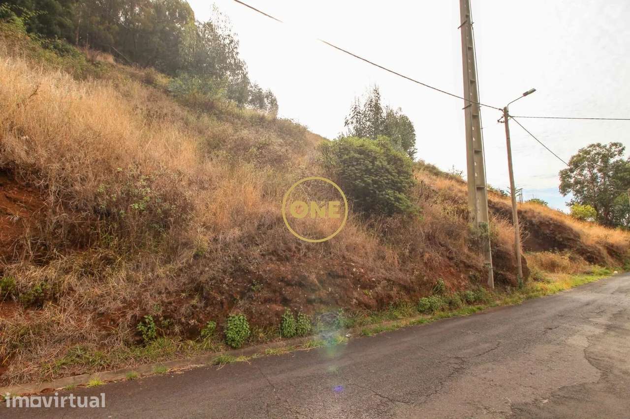 Terreno com 4299 m² - Grande imagem: 2/10