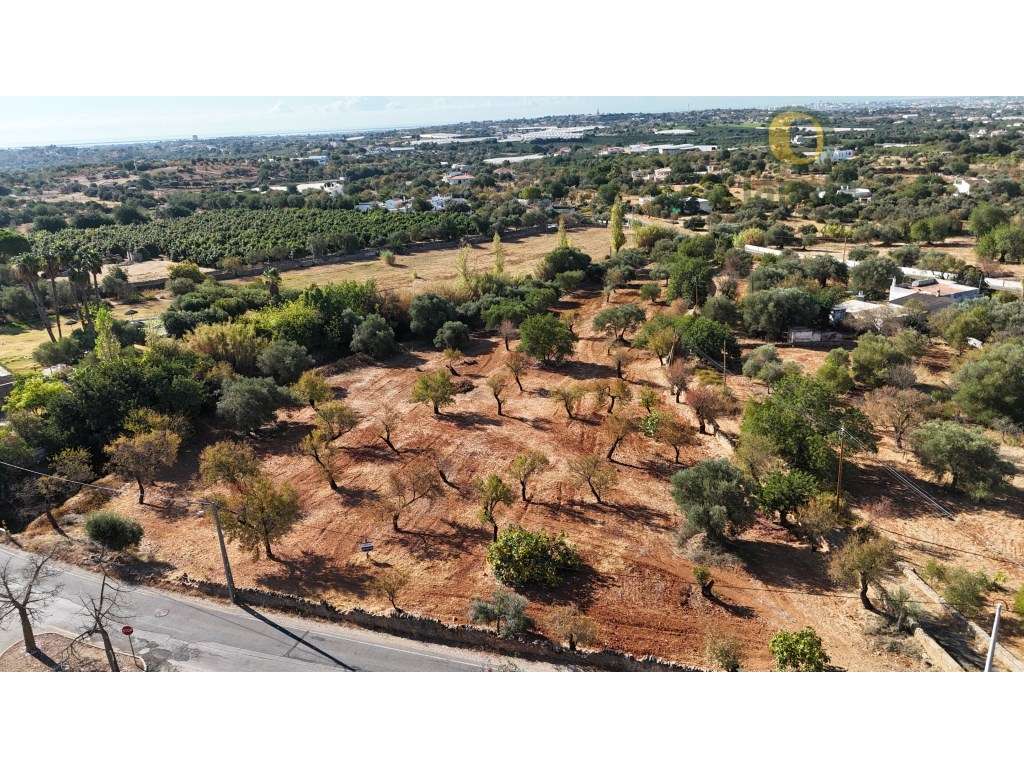Terreno Urbano com PIP Aprovado em Estoi - Excelente Oportunidade d... - Grande imagem: 3/11