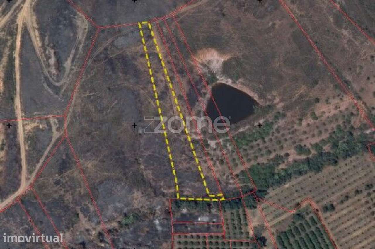 Terrenos Rústicos c/ total de 2.960m2 em Gregórios, Messines - Grande imagem: 2/15