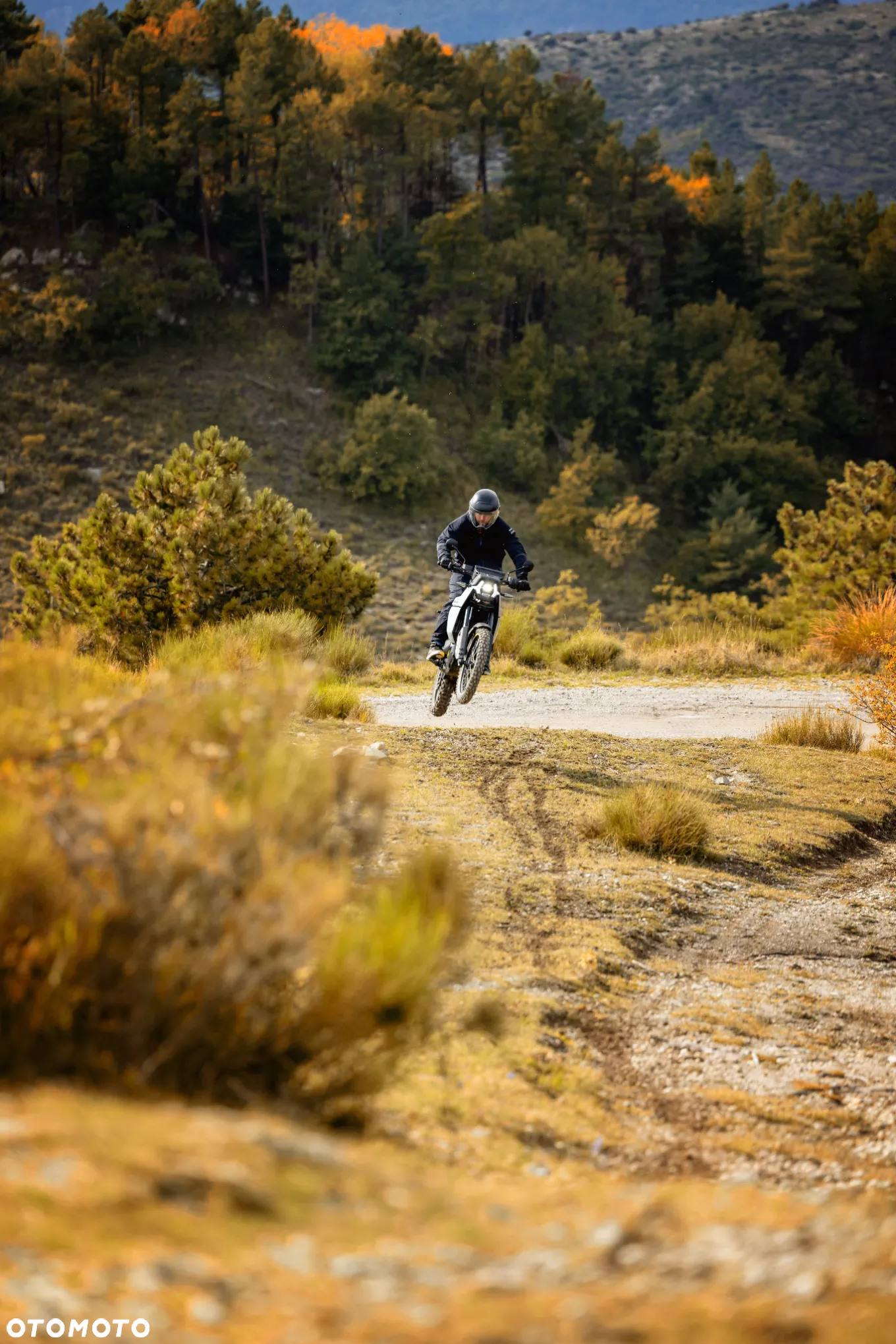 Can-Am Inny - 3