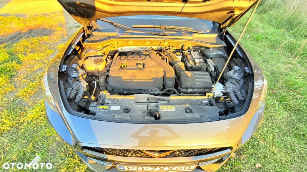 Cupra Formentor 1.5 TSI DSG - 21