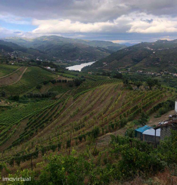 Venda de Quinta - Vistas do rio Douro - Grande imagem: 2/11