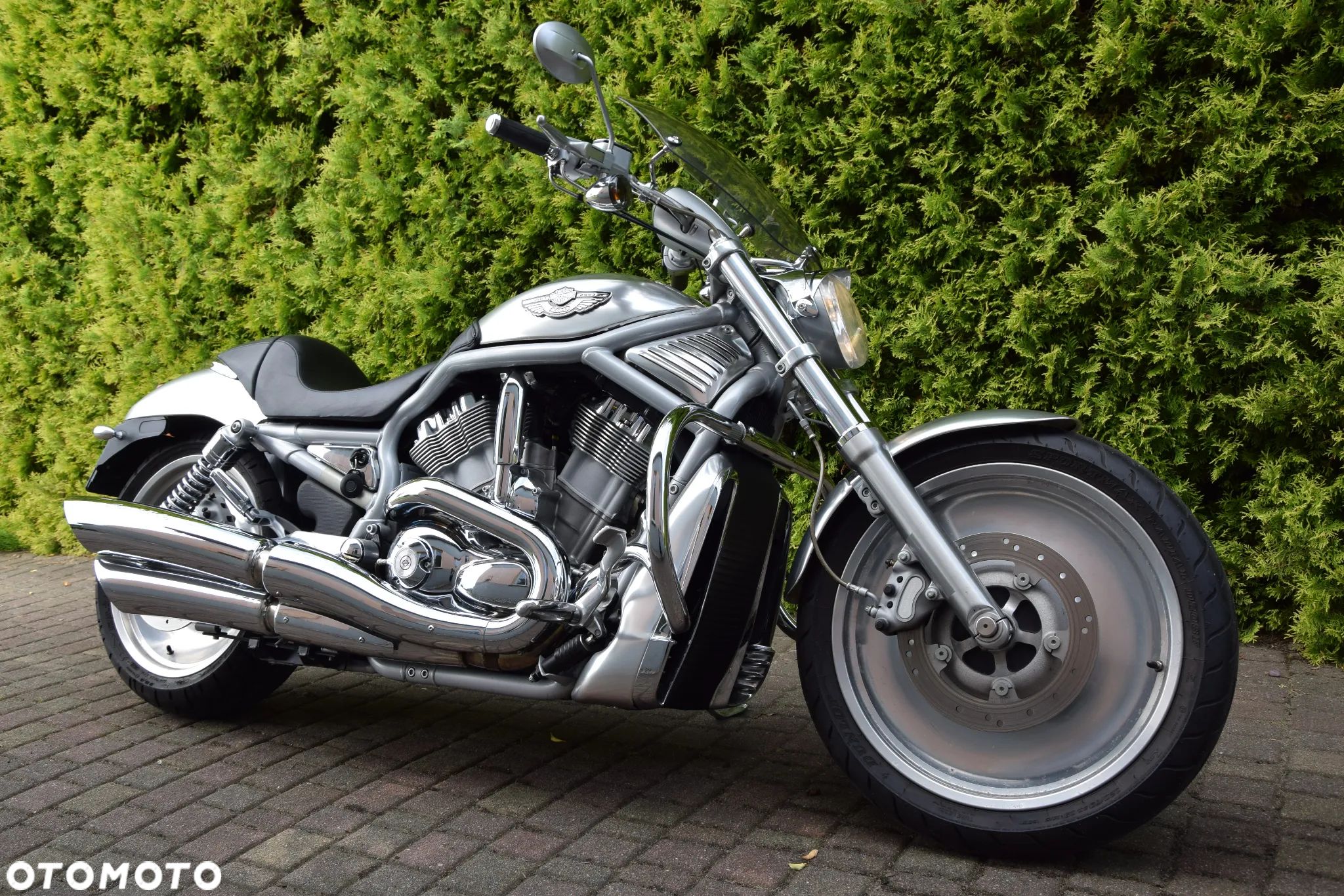 Harley-Davidson Softail V-Rod - 1