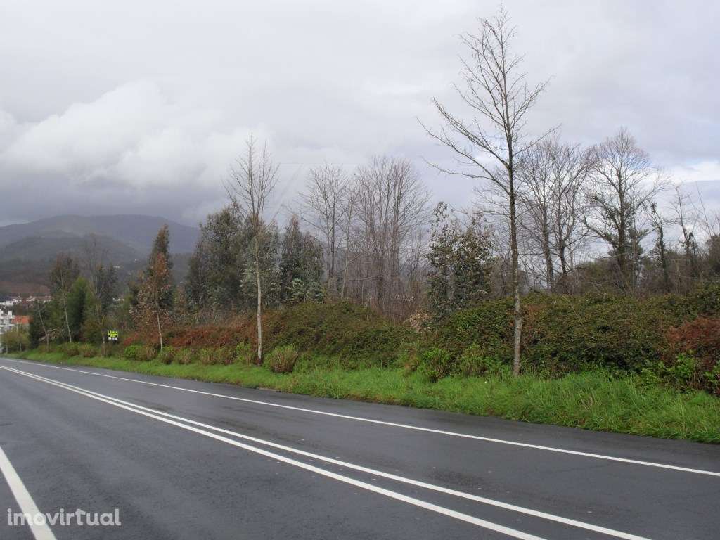 Terreno em Arca- Ponte de Lima - Grande imagem: 3/6