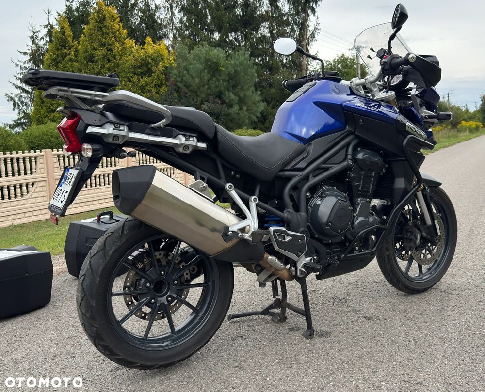 Triumph Tiger - 11