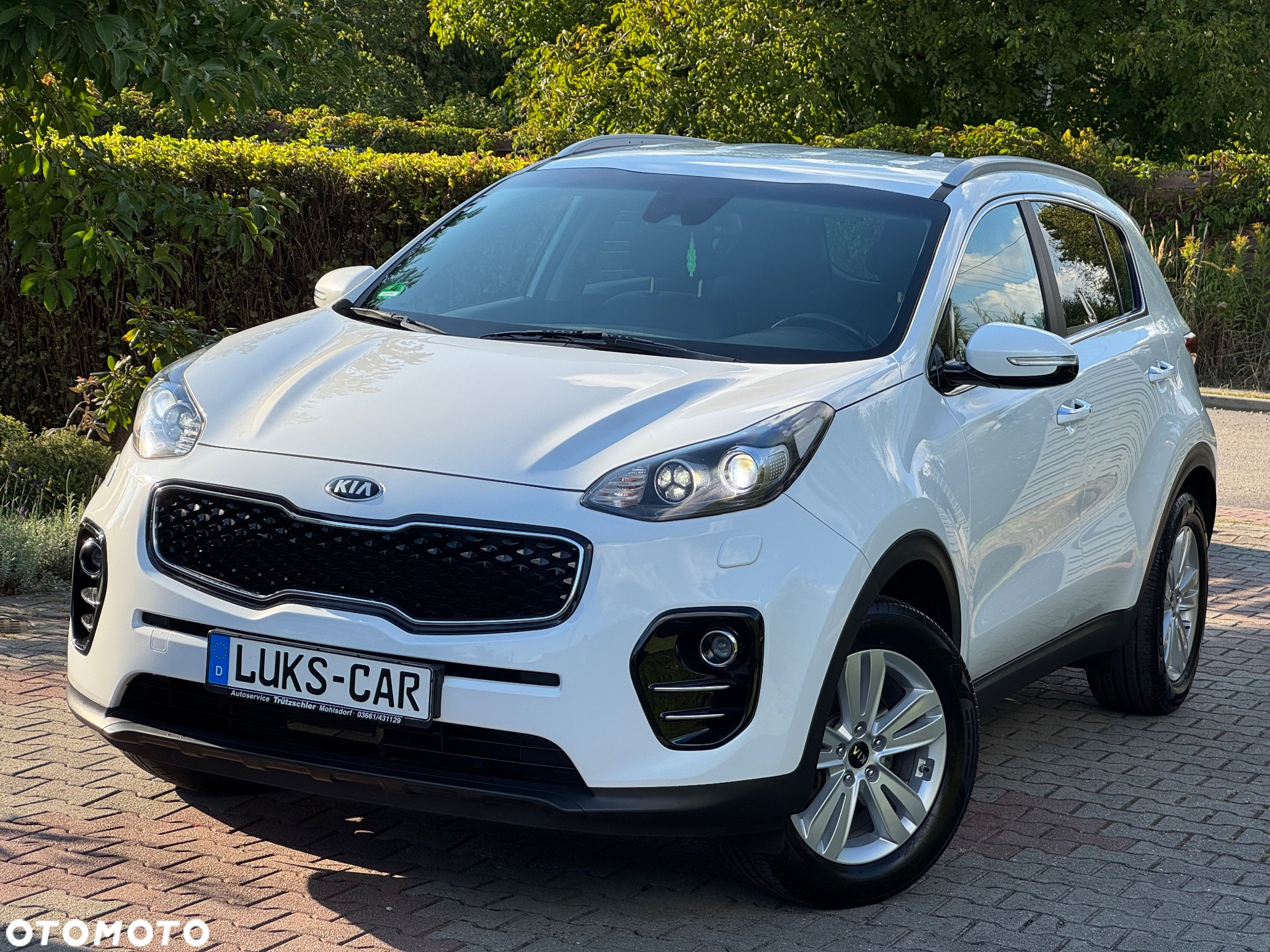 Kia Sportage 1.6 GDI L Business Line Plus 2WD - 2