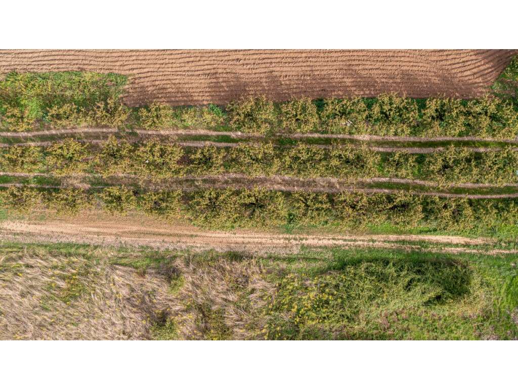 Terreno Rústico ' Franca' - Grande imagem: 5/7