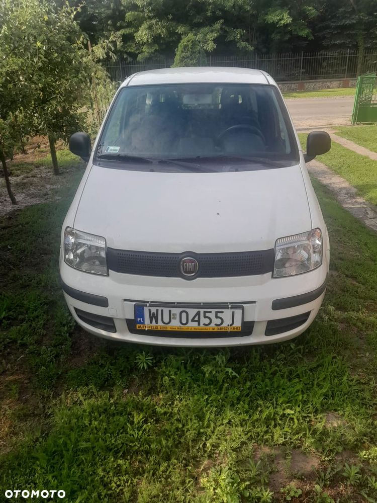 Fiat Panda 1.2 Young - 1