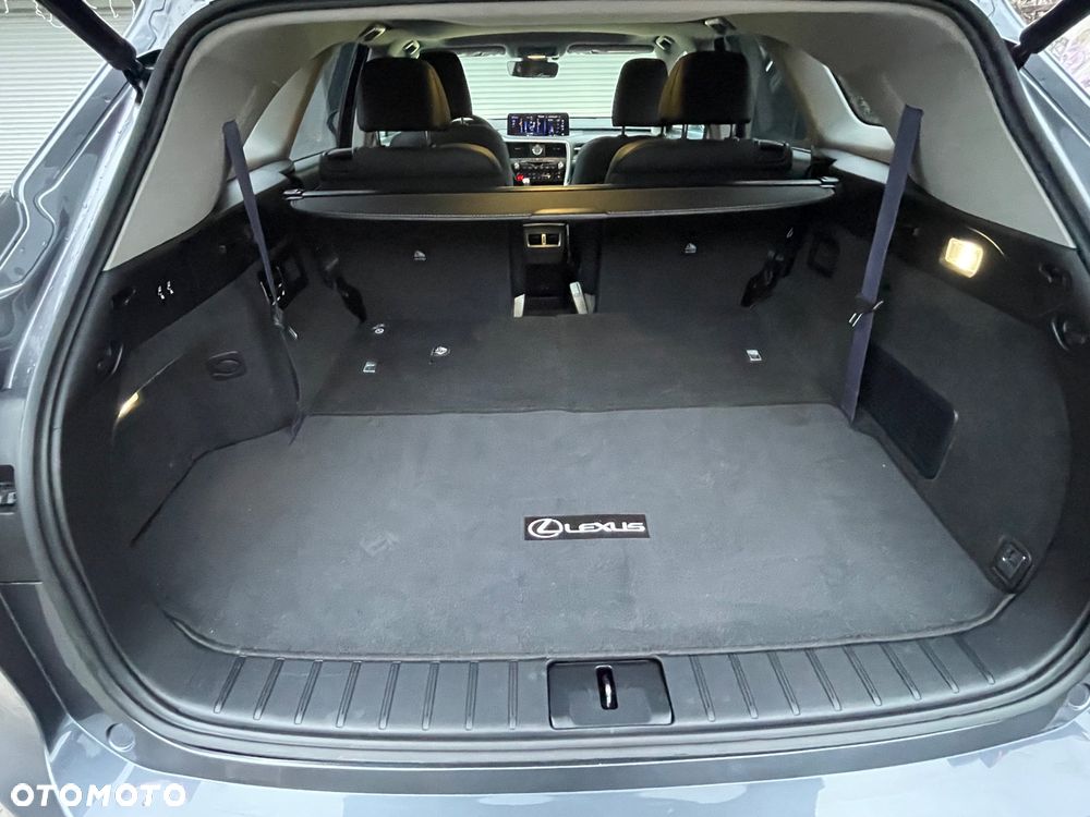Lexus RX - 14