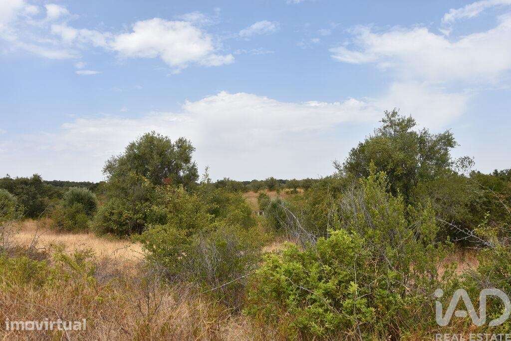Terreno em Areias e Pias de 1600,00 m2 - Grande imagem: 4/30