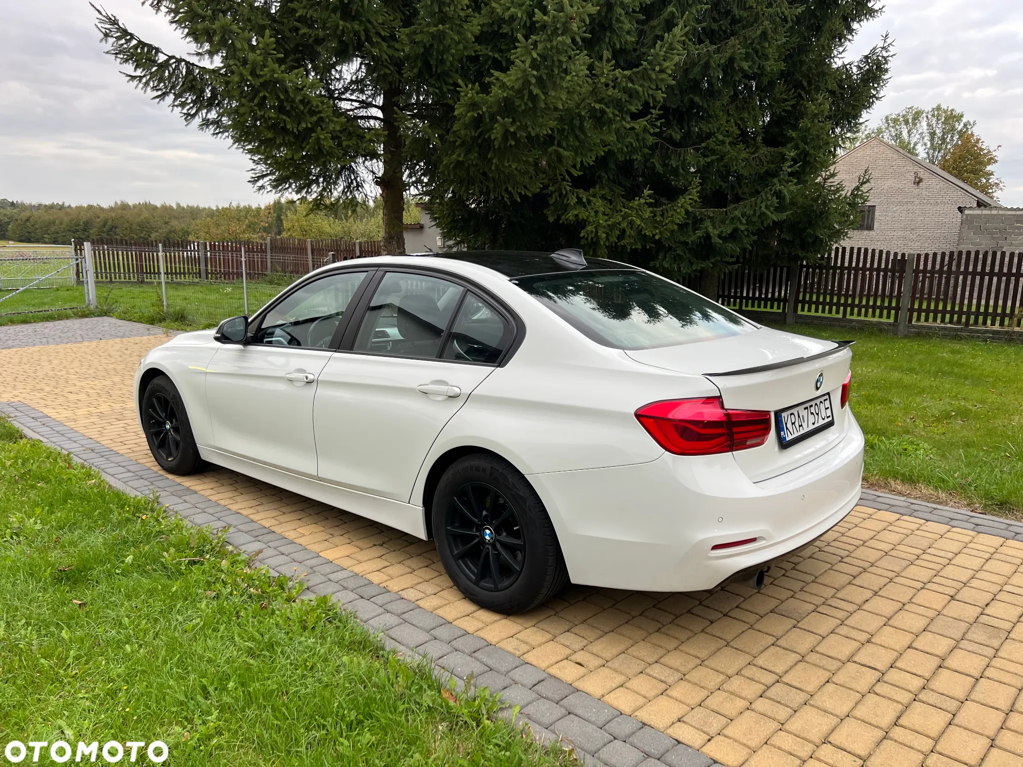 BMW Seria 3 318i - 2