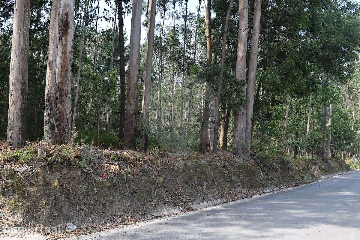 Terreno  para venda - Grande imagem: 5/6