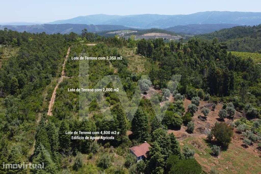 3 Lotes de Terreno com Casa de Apoio Agrícola junto à Aldeia de Alcouc - Grande imagem: 2/26