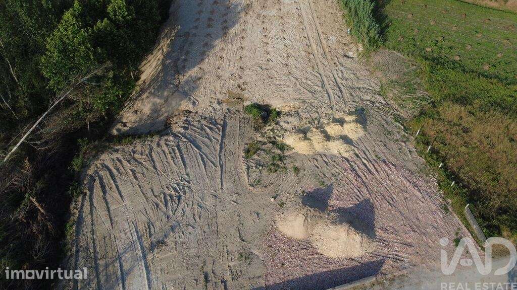 Terreno Agrícola em Souto da Carpalhosa e Ortigosa - Grande imagem: 5/10