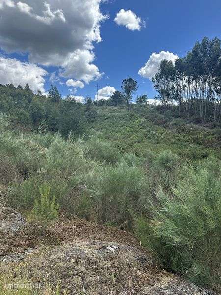Venda de terreno em avessadas e rosem - Grande imagem: 4/9