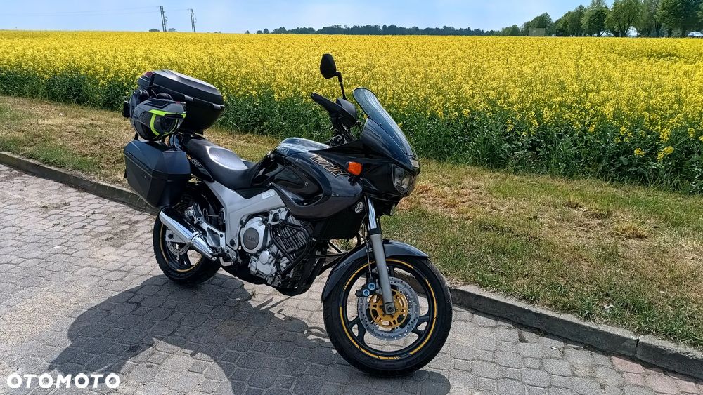 Yamaha TDM - 15