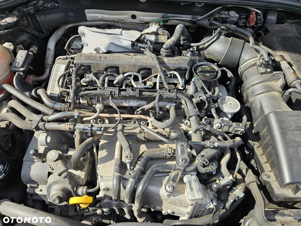 Seat Leon 2.0 TDI FR S&S DSG - 17