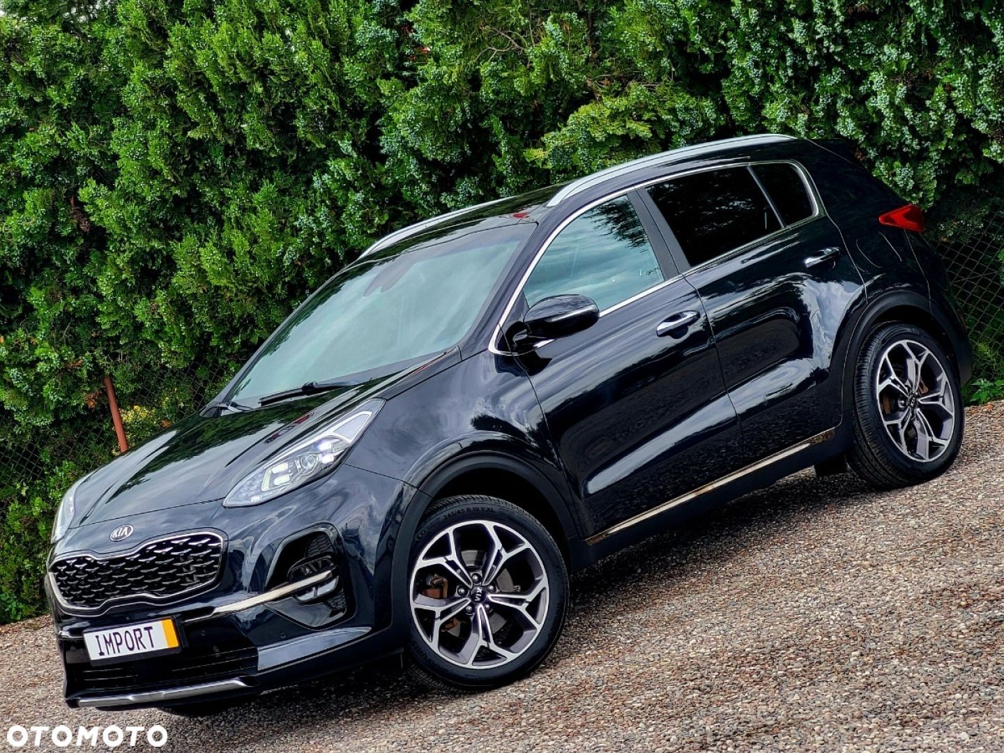 Kia Sportage - 1