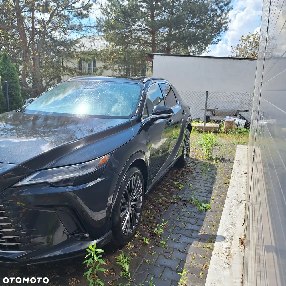 Lexus RX - 12