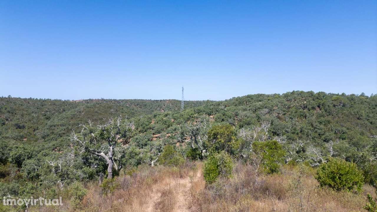 Terreno Misto 10.0 ha, São Francisco da Serra, Santiago do Cacem - Grande imagem: 2/18