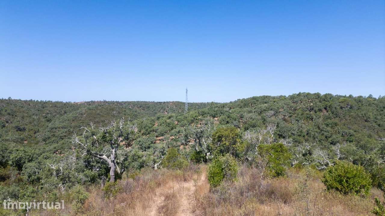 Terreno Misto 10.0 ha, São Francisco da Serra, Santiago do Cacem - Grande imagem: 2/18