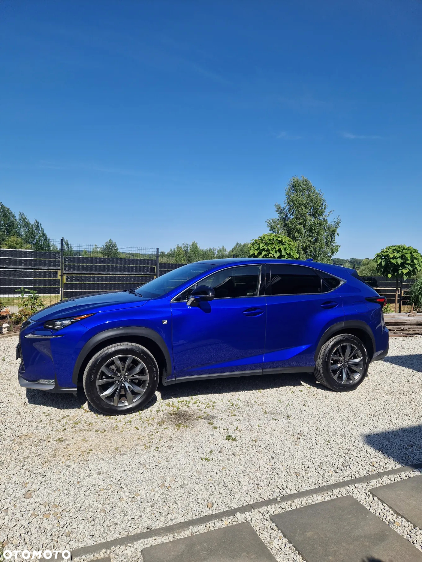 Lexus NX 200t F Sport AWD - 6