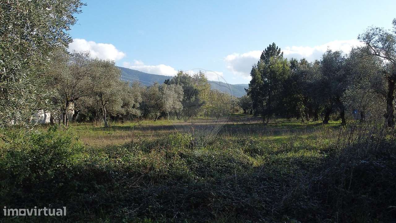 Terreno  para venda - Grande imagem: 4/4