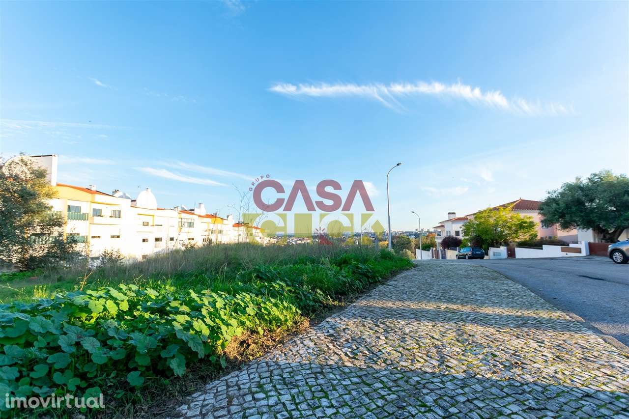 Lote de Terreno T3 Venda em Torres Novas (São Pedro), Lapas e Ribeira - Grande imagem: 5/20