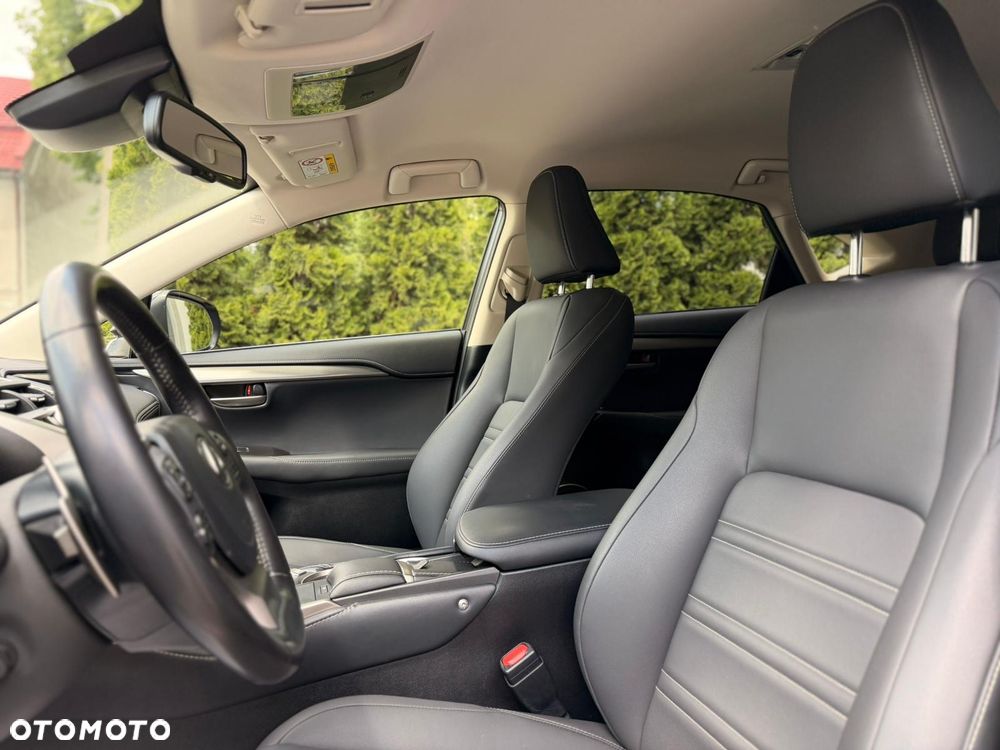 Lexus NX - 11