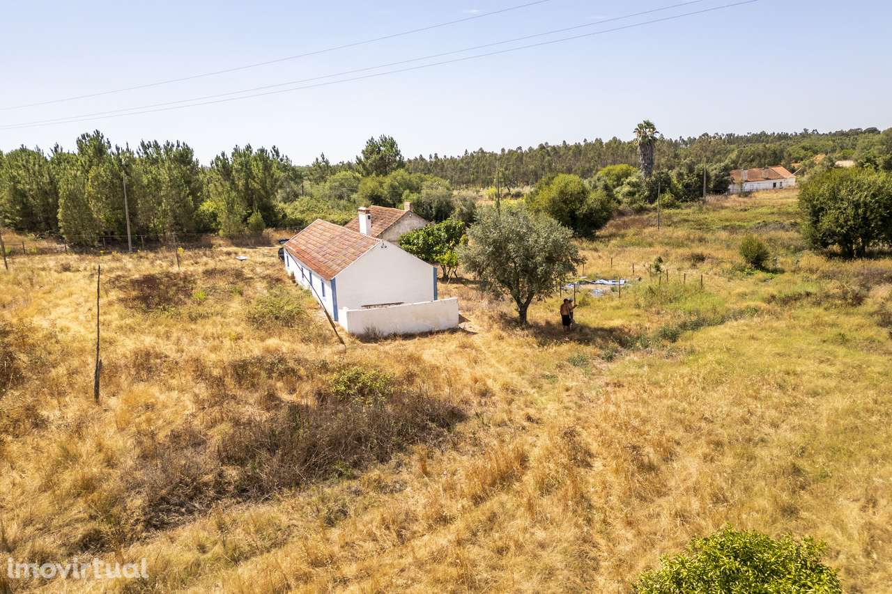 Quinta  5hct Rústica / Urbana com Potencial Único -  Branca - Coruche - Grande imagem: 2/24