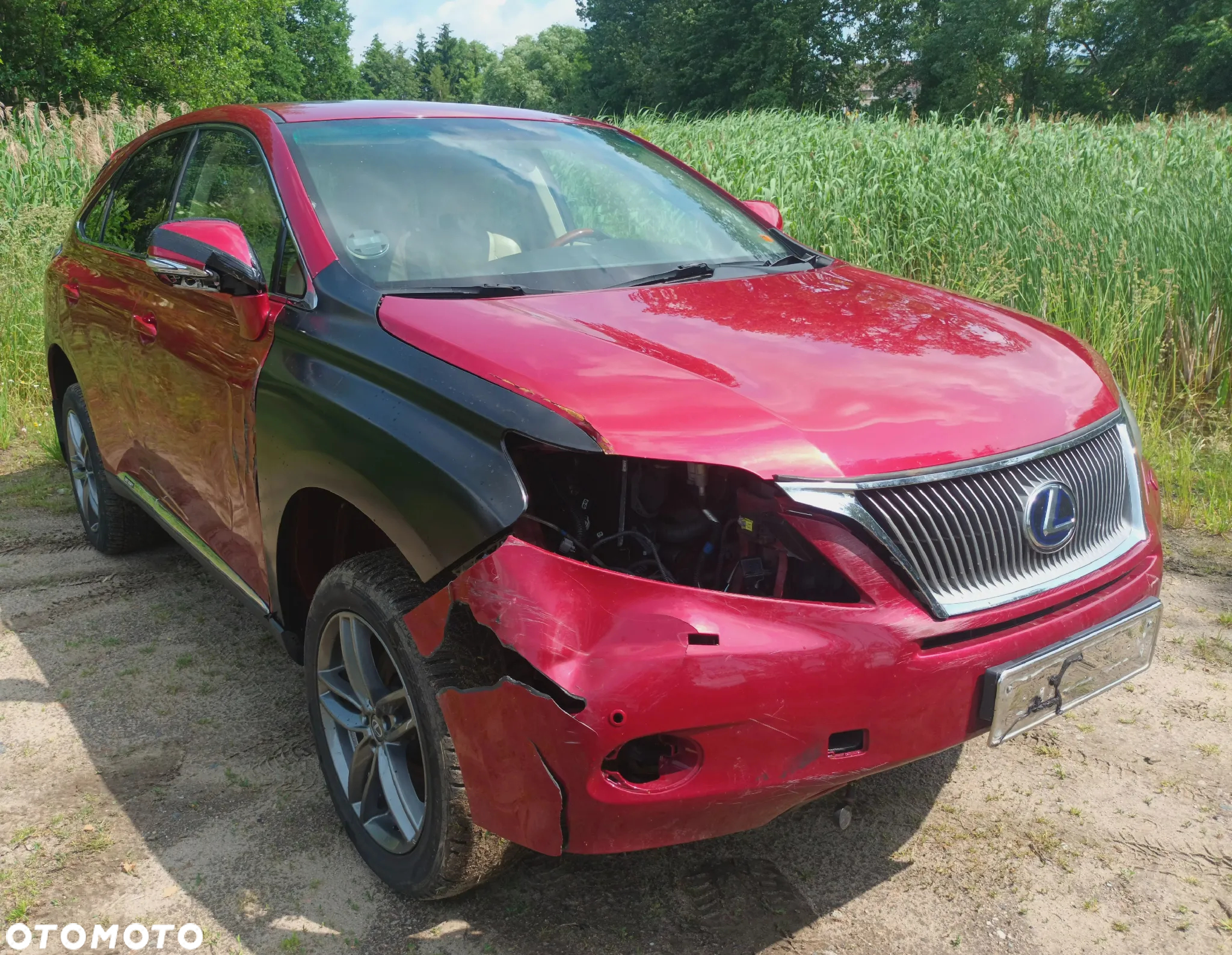 Lexus RX 450h (hybrid) Executive Line - 24