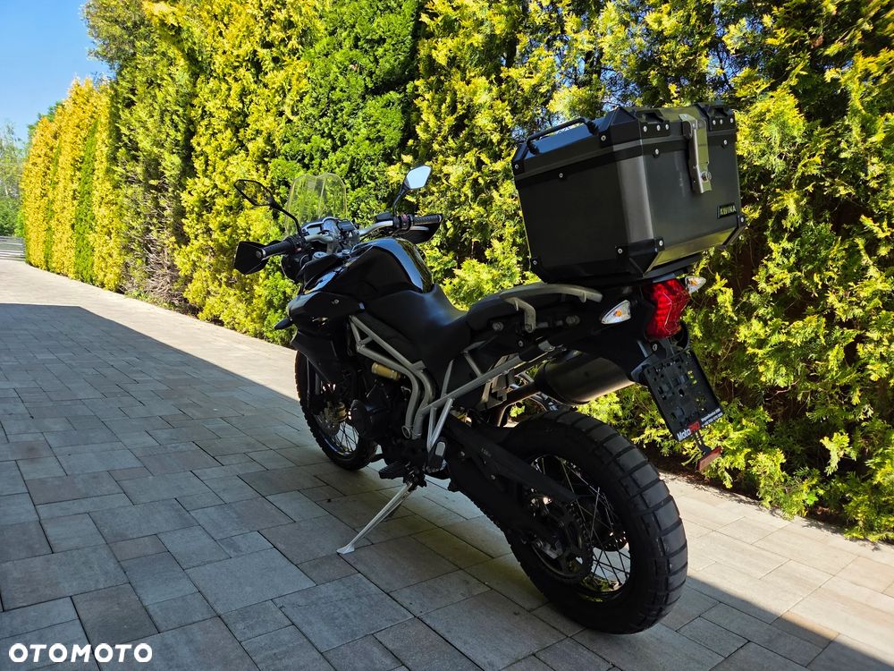 Triumph Tiger - 5