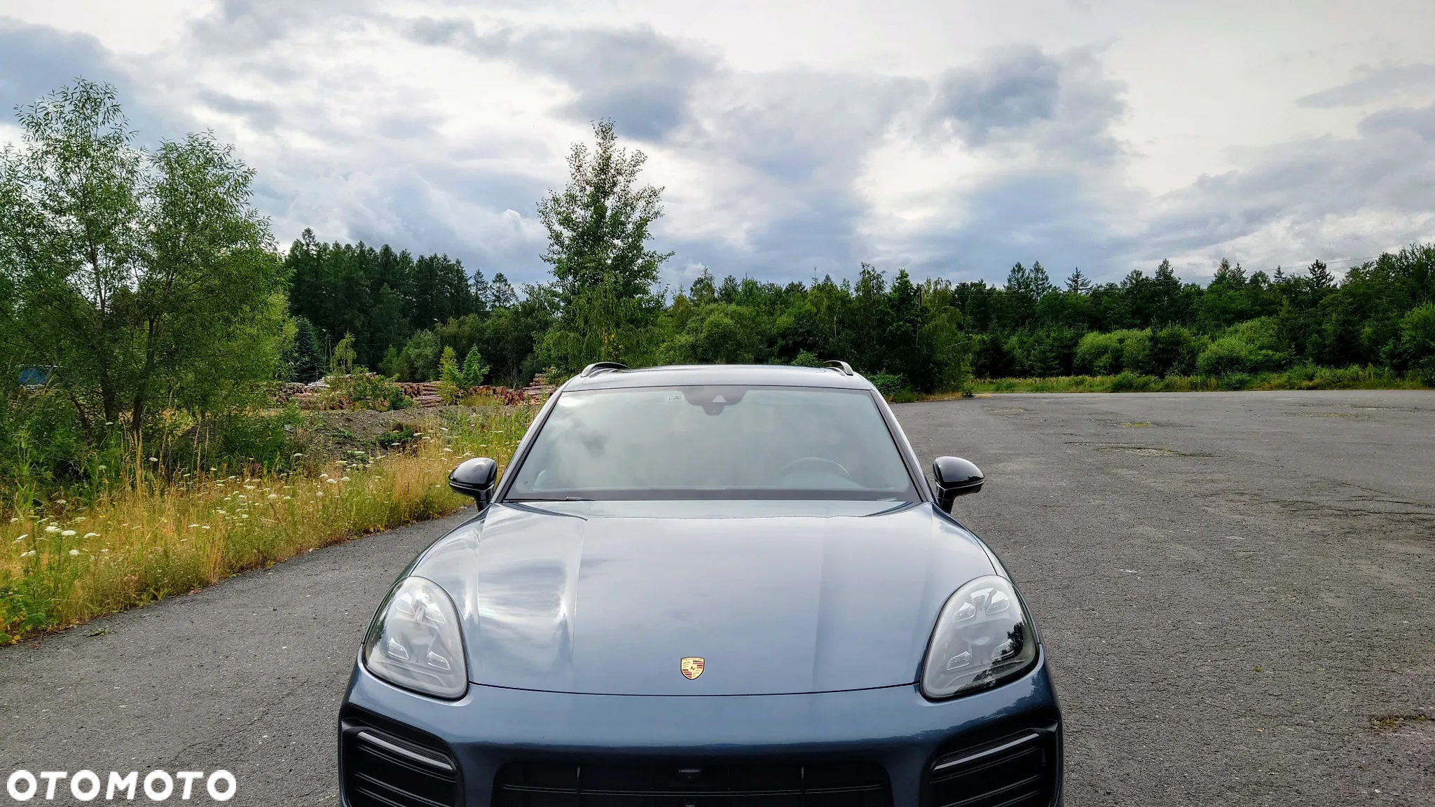 Porsche Cayenne E-Hybrid Platinum Edition - 3