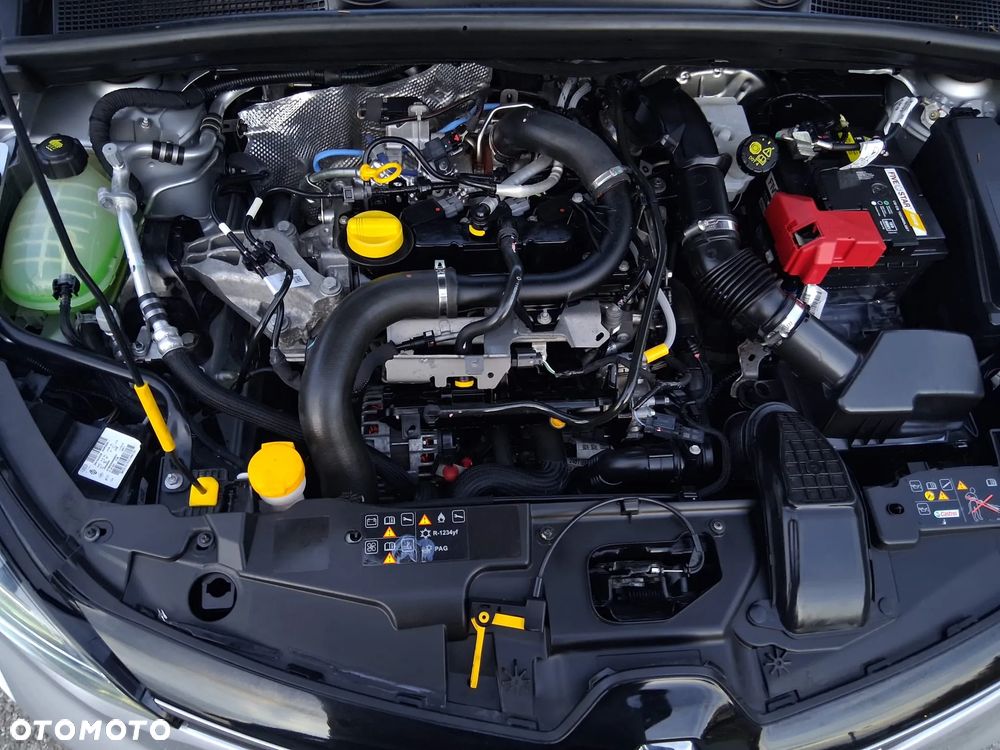 Renault Clio - 14