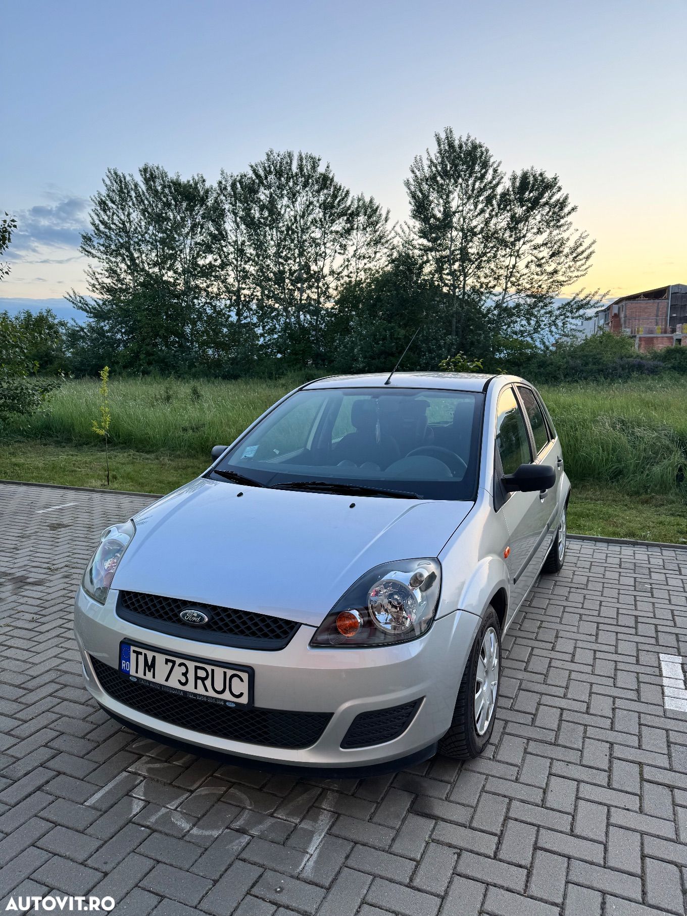 Ford Fiesta - 1