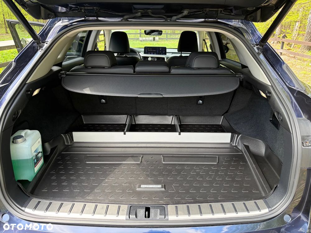 Lexus RX 300 Business Edition + - 14