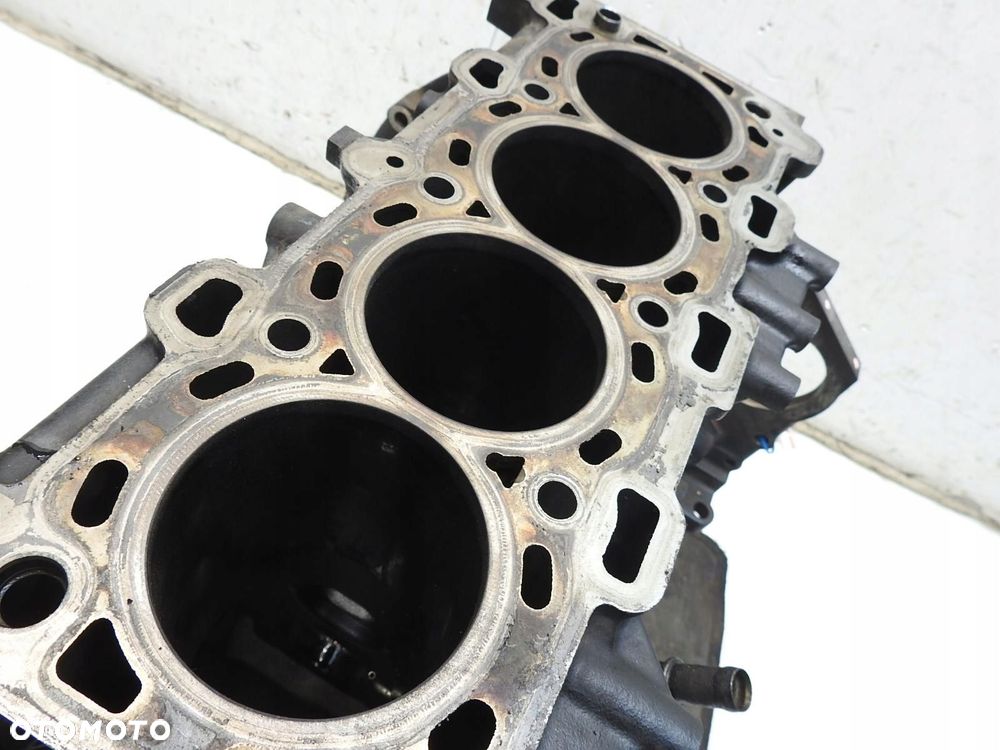 BLOK SILNIKA RENAULT SCENIC III 2.0 DCI M9RC615 C002815 - 9
