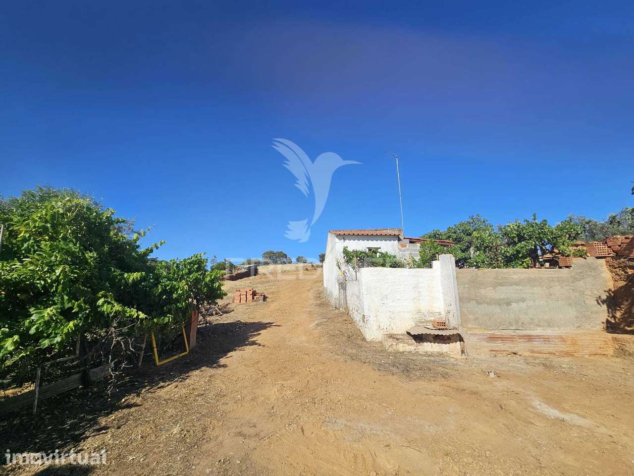 Moradia T3 com Terreno Urbano de 970 m² em Vales Mortos – Serpa - Grande imagem: 5/21
