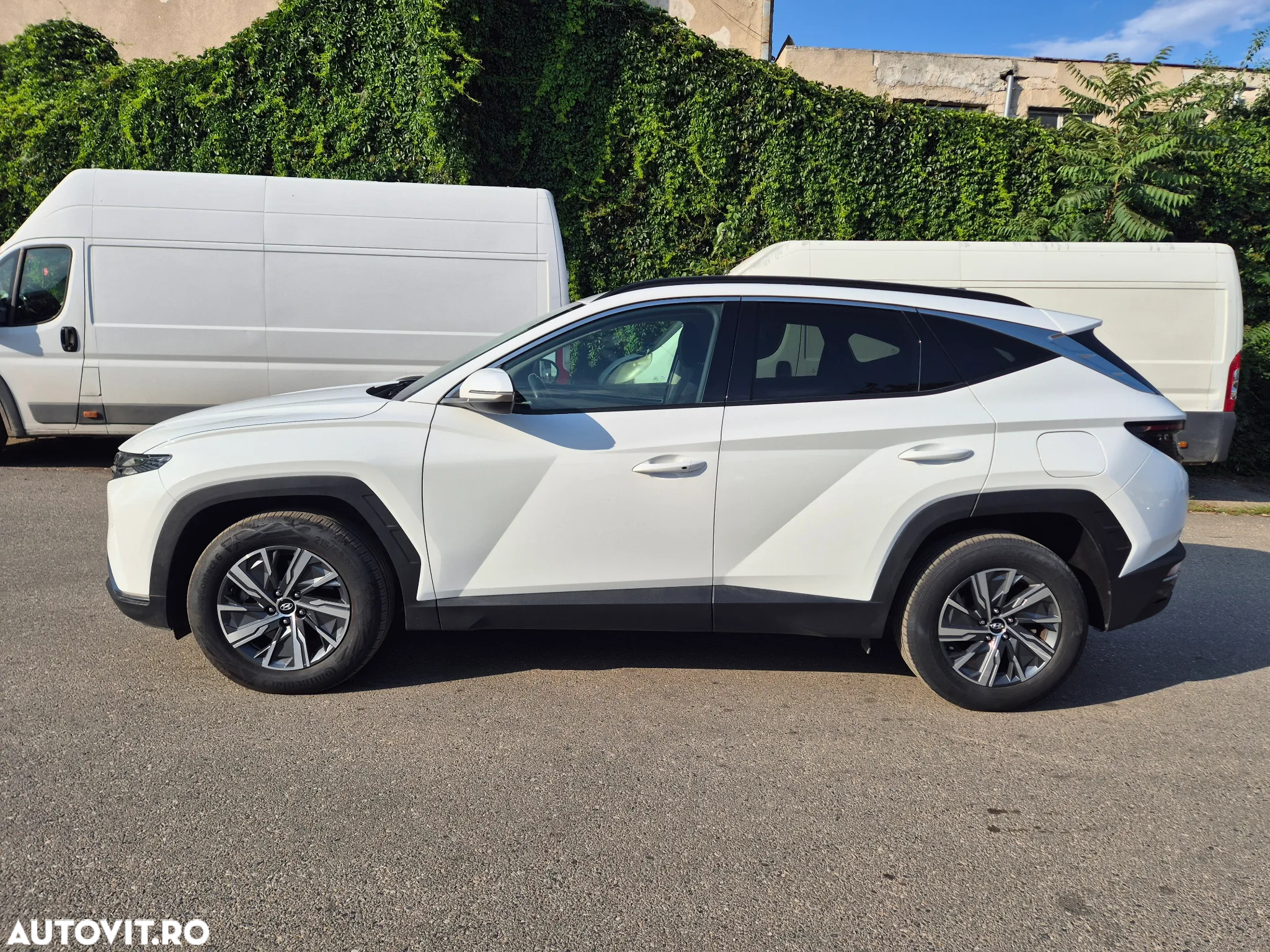 Hyundai Tucson 1.6 T-GDi HEV 2WD N Line - 5
