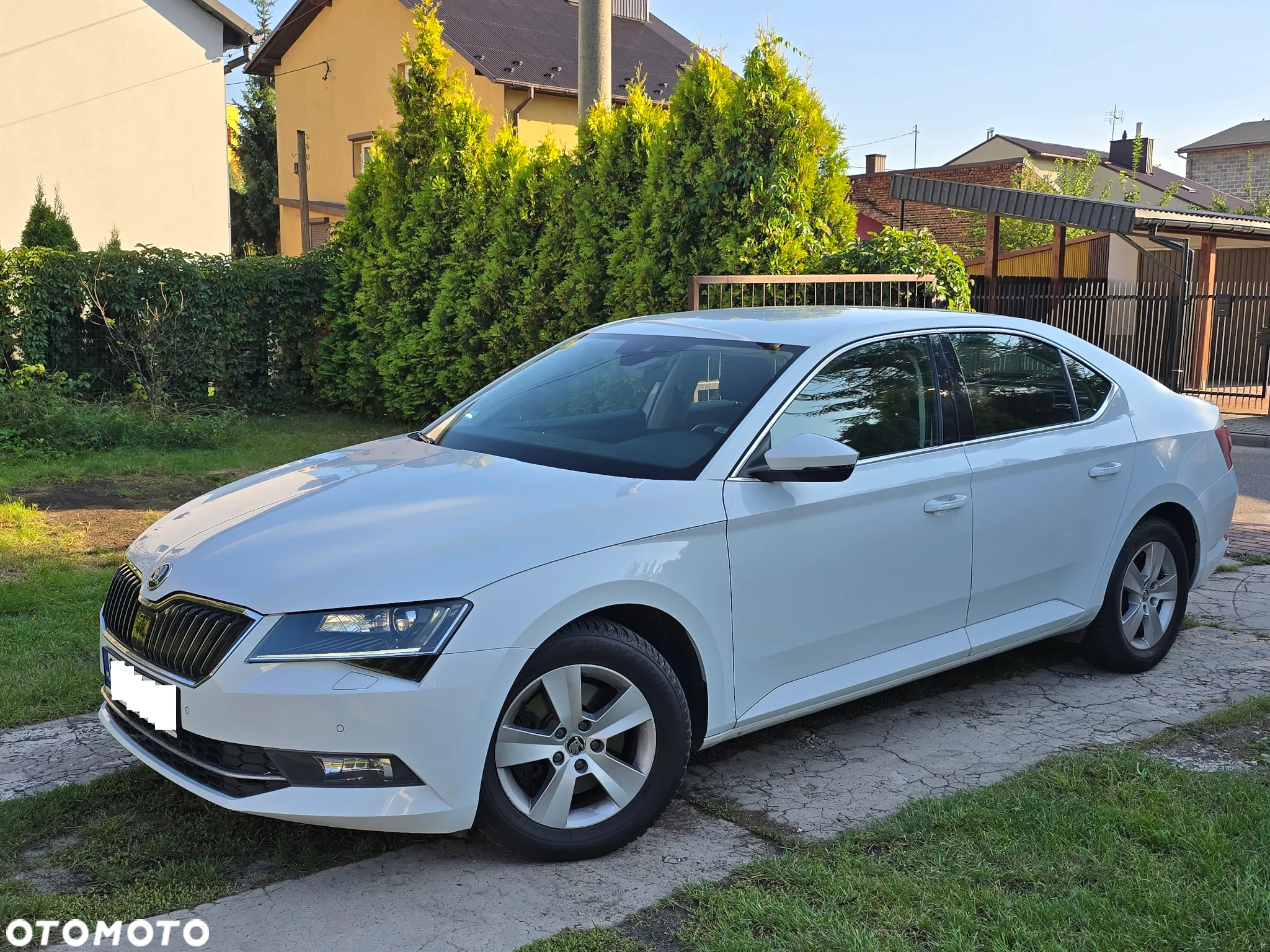 Skoda Superb 2.0 TDI Sportline DSG - 38